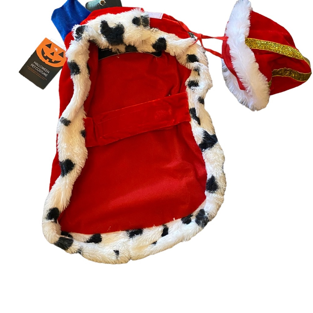 Pet Halloween costume
